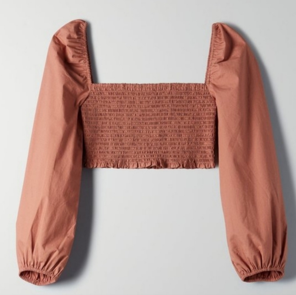 Wilfred Terracotta Crop Top